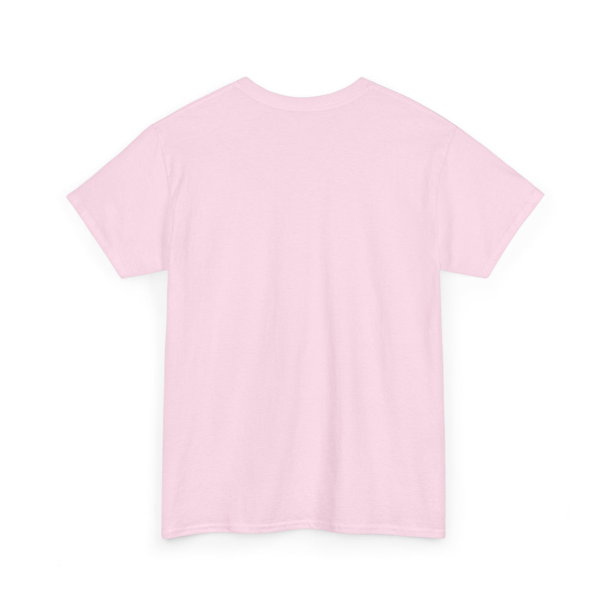 Diaper Pride T-Shirt - "This Flag Means Diaper Pride" Graphic Tee