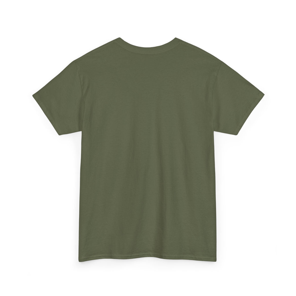 Diaper Pride T-Shirt - "This Flag Means Diaper Pride" Graphic Tee