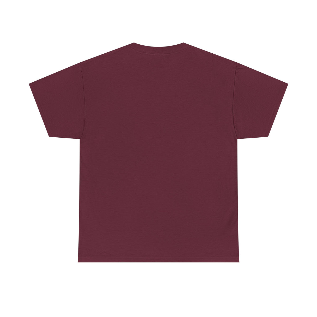 Diaper Pride T-Shirt - "This Flag Means Diaper Pride" Graphic Tee