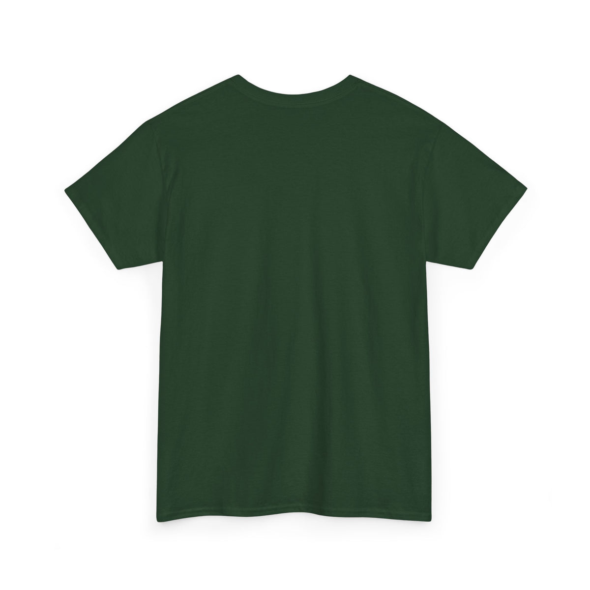 Diaper Pride T-Shirt - "This Flag Means Diaper Pride" Graphic Tee