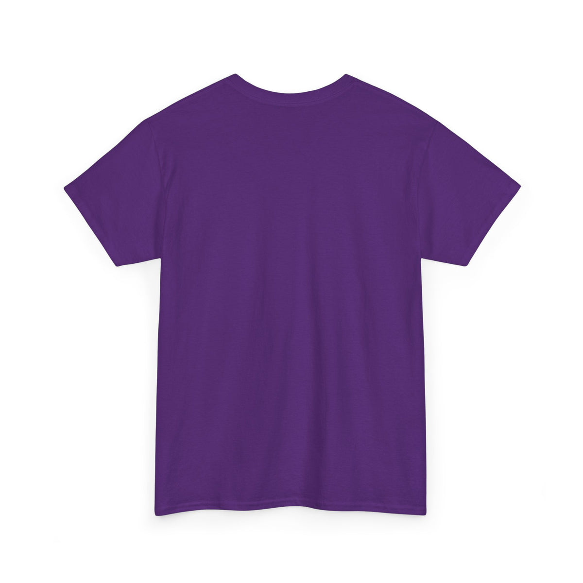 Diaper Pride T-Shirt - "This Flag Means Diaper Pride" Graphic Tee