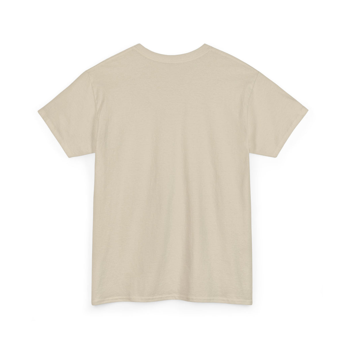 Diaper Pride T-Shirt - "This Flag Means Diaper Pride" Graphic Tee