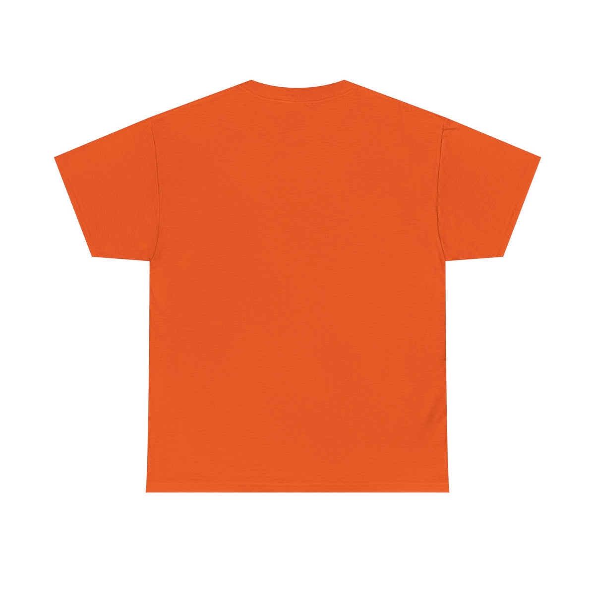 Diaper Pride T-Shirt - "This Flag Means Diaper Pride" Graphic Tee