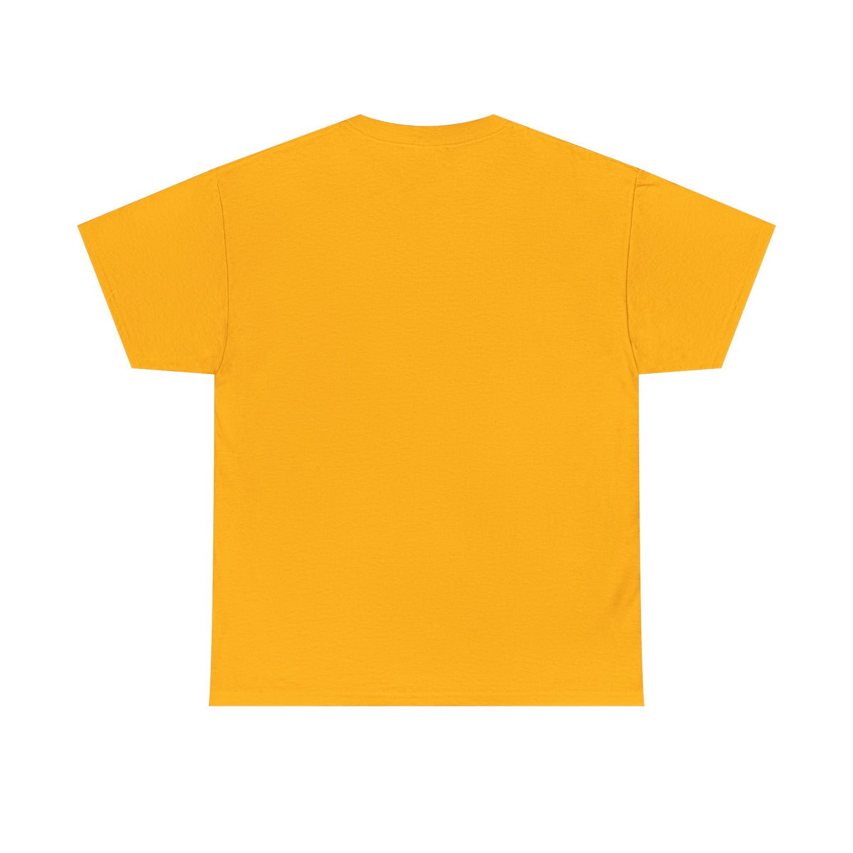 Diaper Pride T-Shirt - "This Flag Means Diaper Pride" Graphic Tee