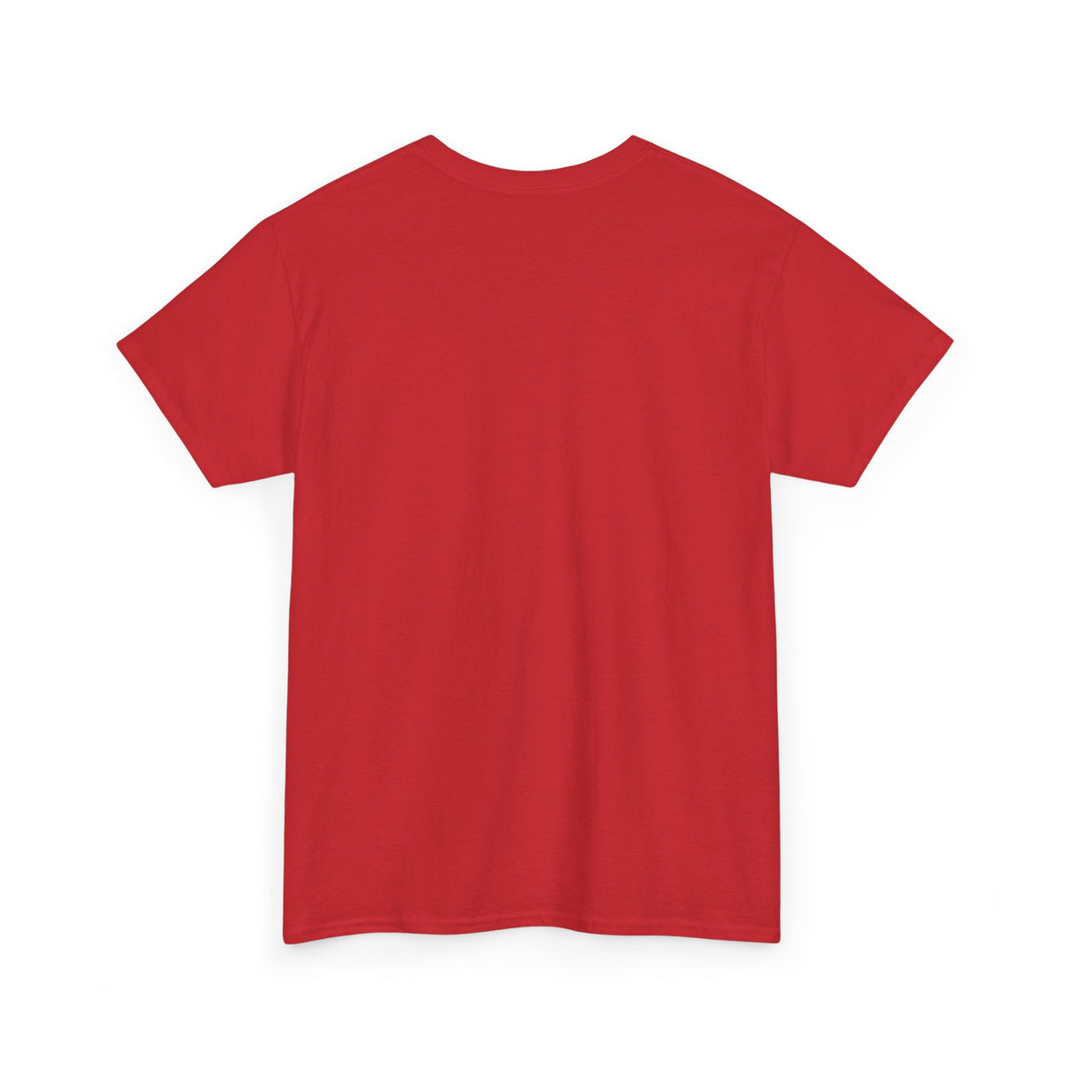 Diaper Pride T-Shirt - "This Flag Means Diaper Pride" Graphic Tee
