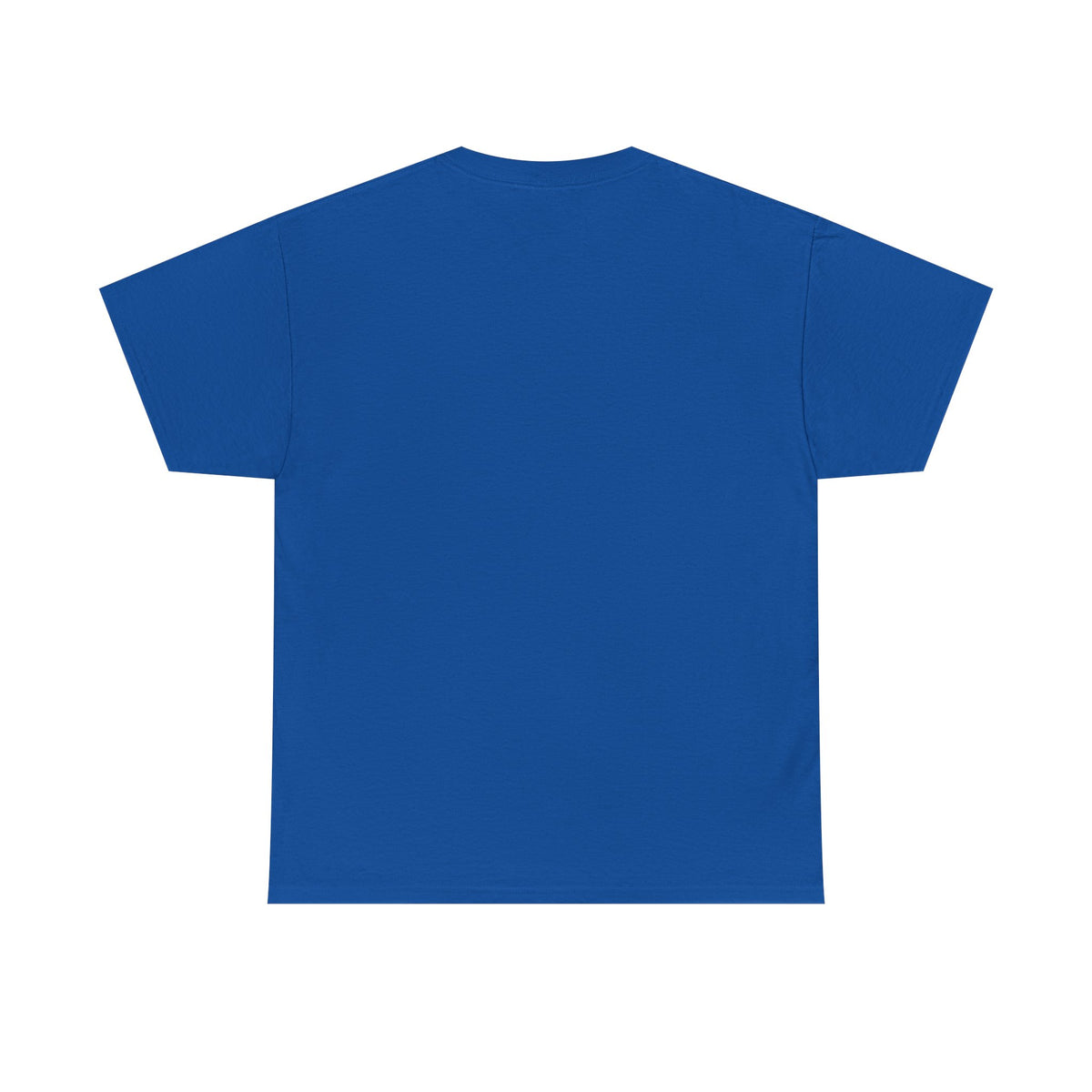 Diaper Pride T-Shirt - "This Flag Means Diaper Pride" Graphic Tee