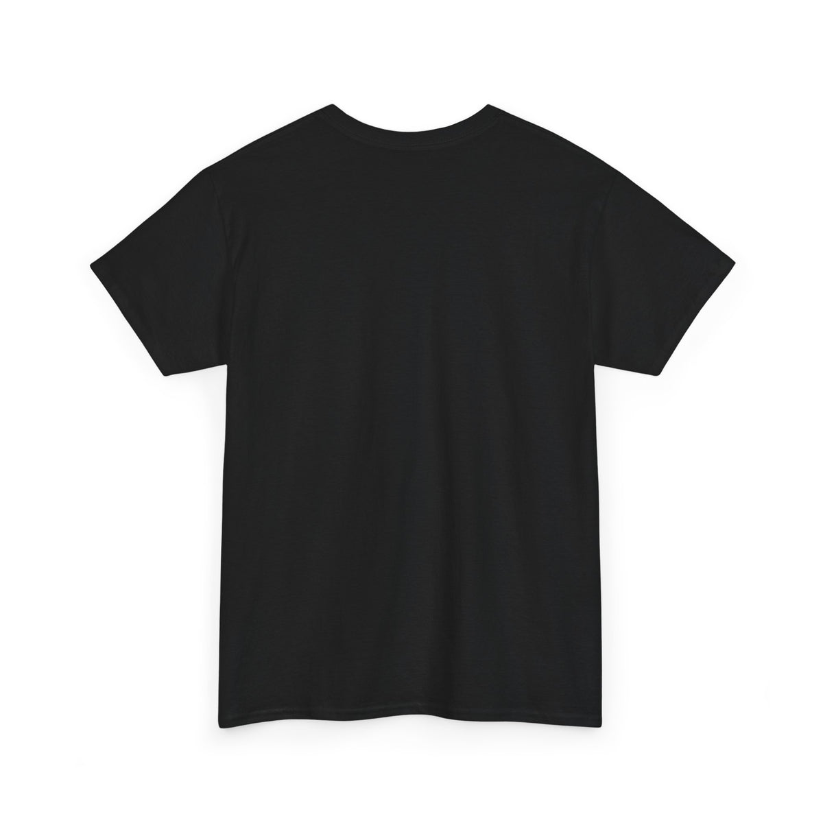 Diaper Pride T-Shirt - "This Flag Means Diaper Pride" Graphic Tee