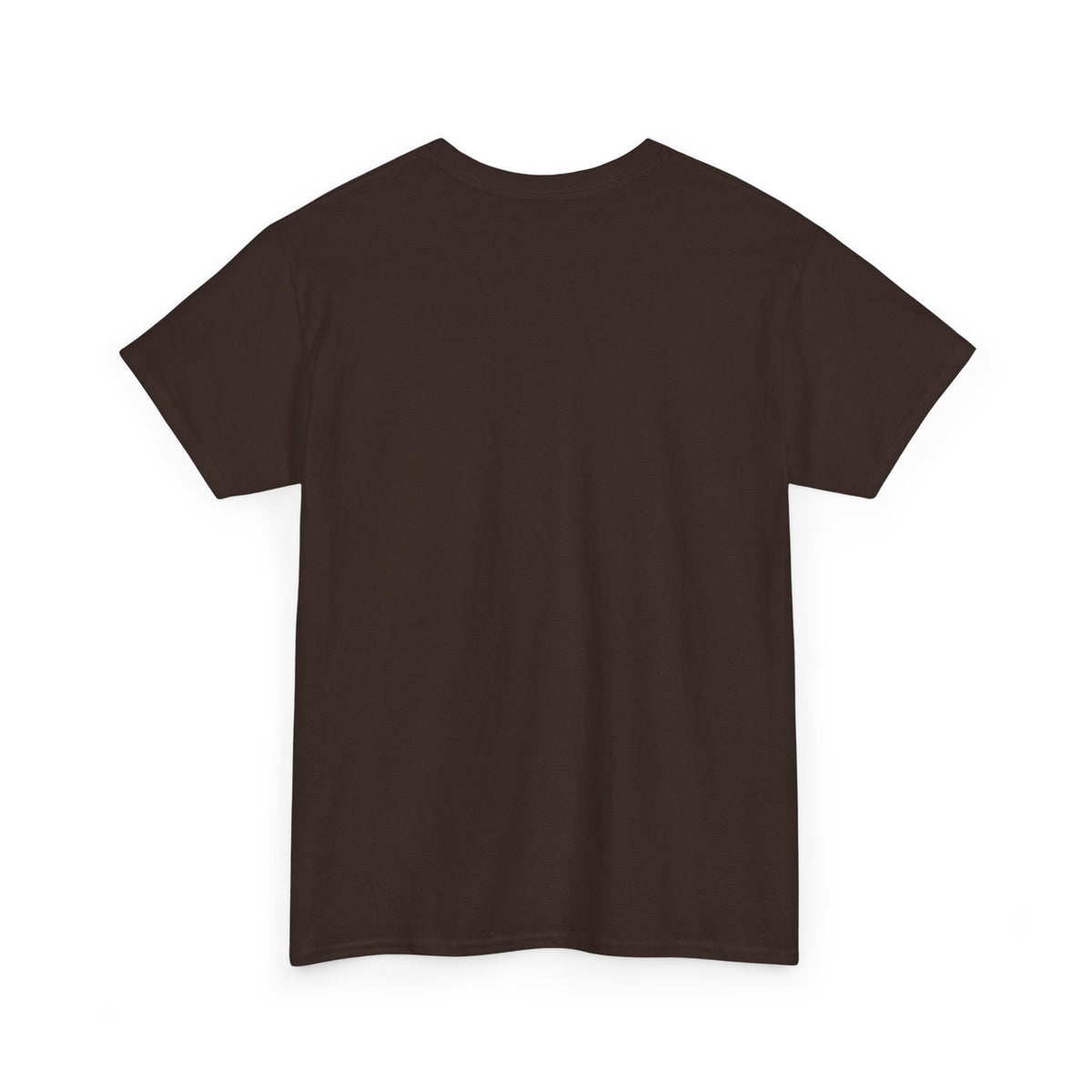 Diaper Pride T-Shirt - "This Flag Means Diaper Pride" Graphic Tee