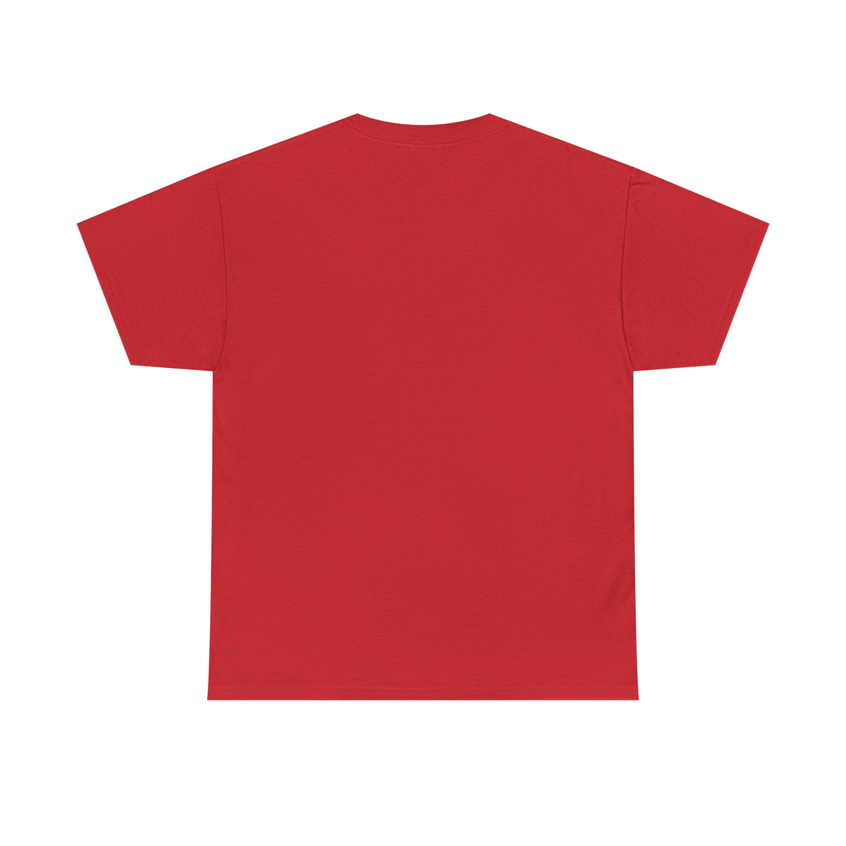 Diaper Pride T-Shirt - "This Flag Means Diaper Pride" Graphic Tee