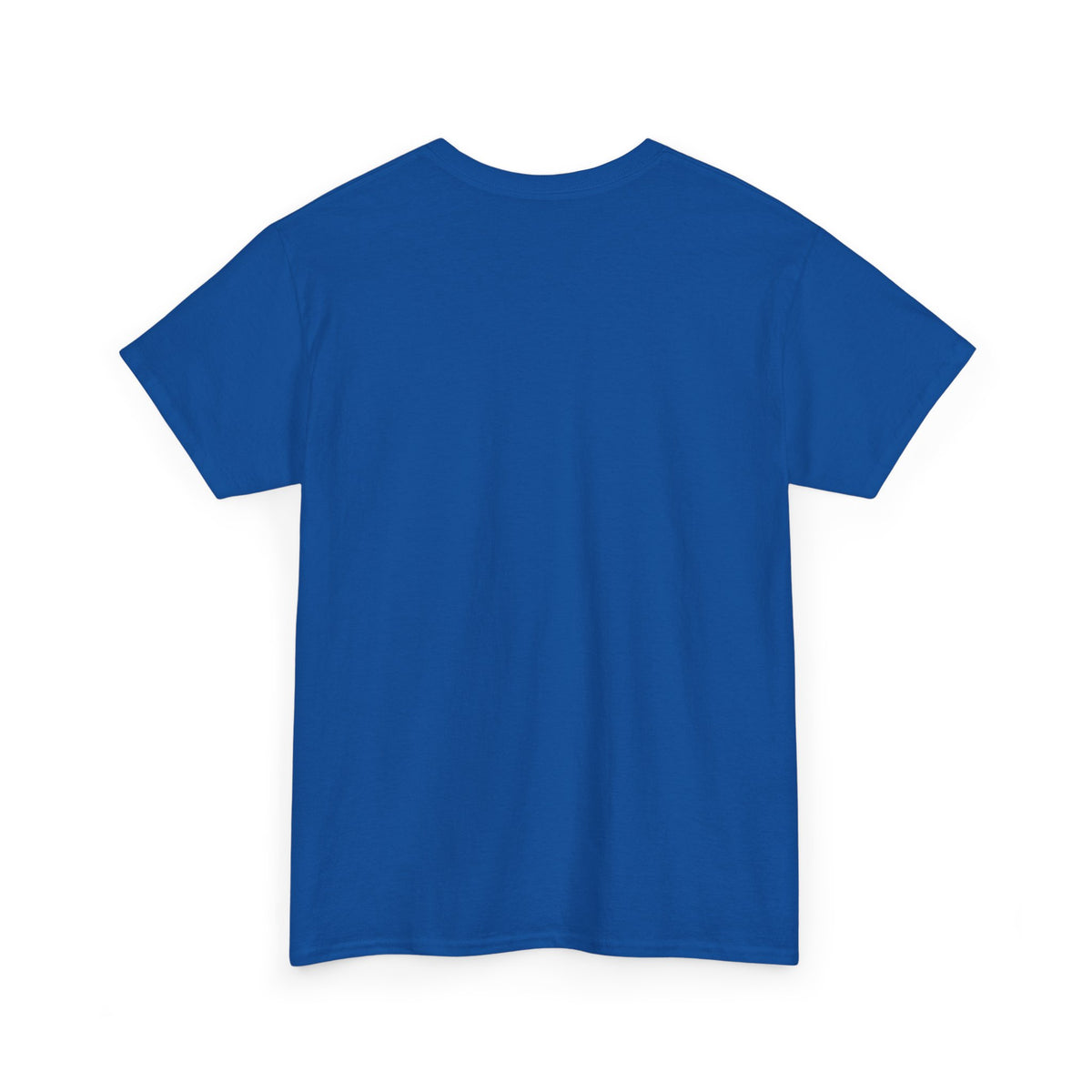 Diaper Pride T-Shirt - "This Flag Means Diaper Pride" Graphic Tee