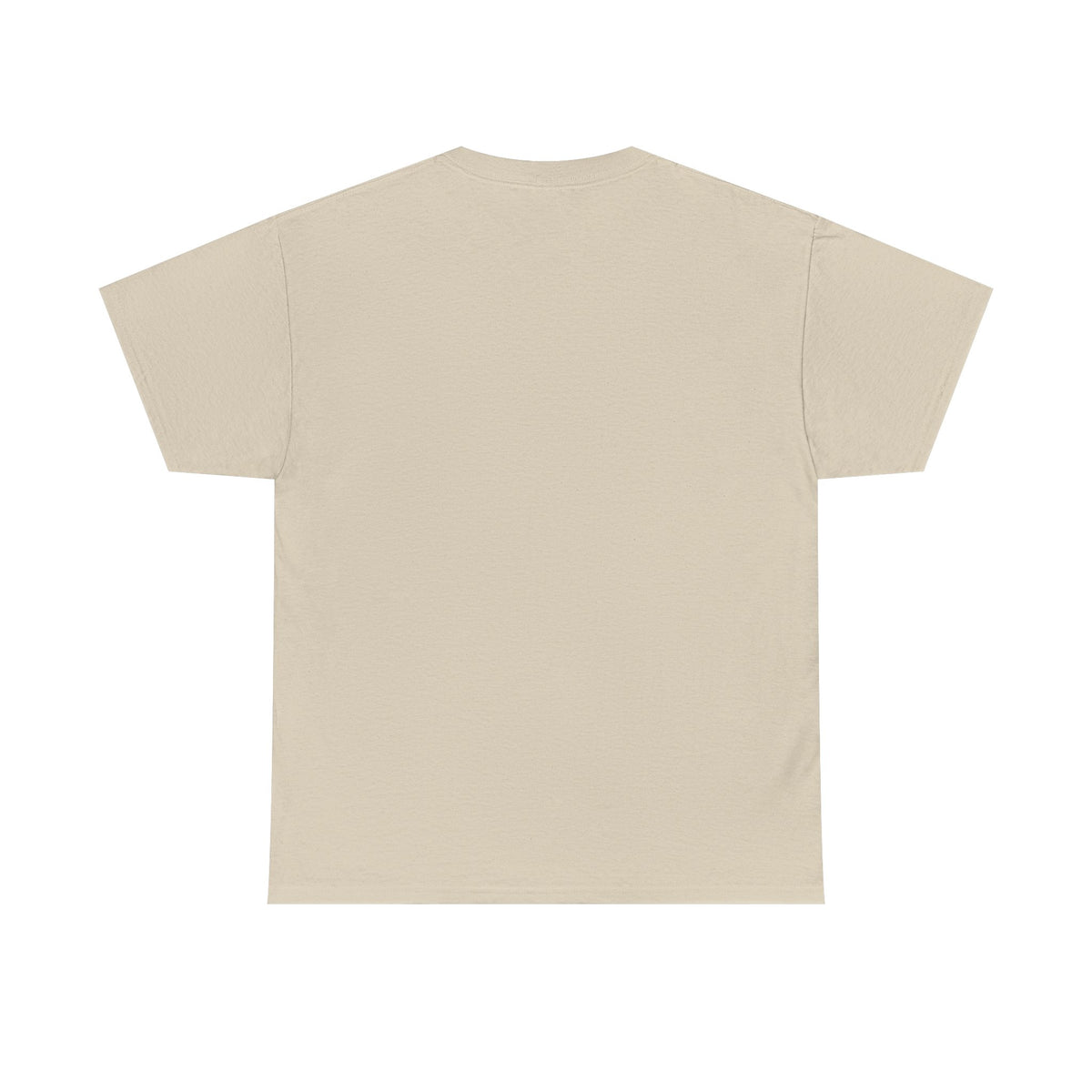 Diaper Pride T-Shirt - "This Flag Means Diaper Pride" Graphic Tee