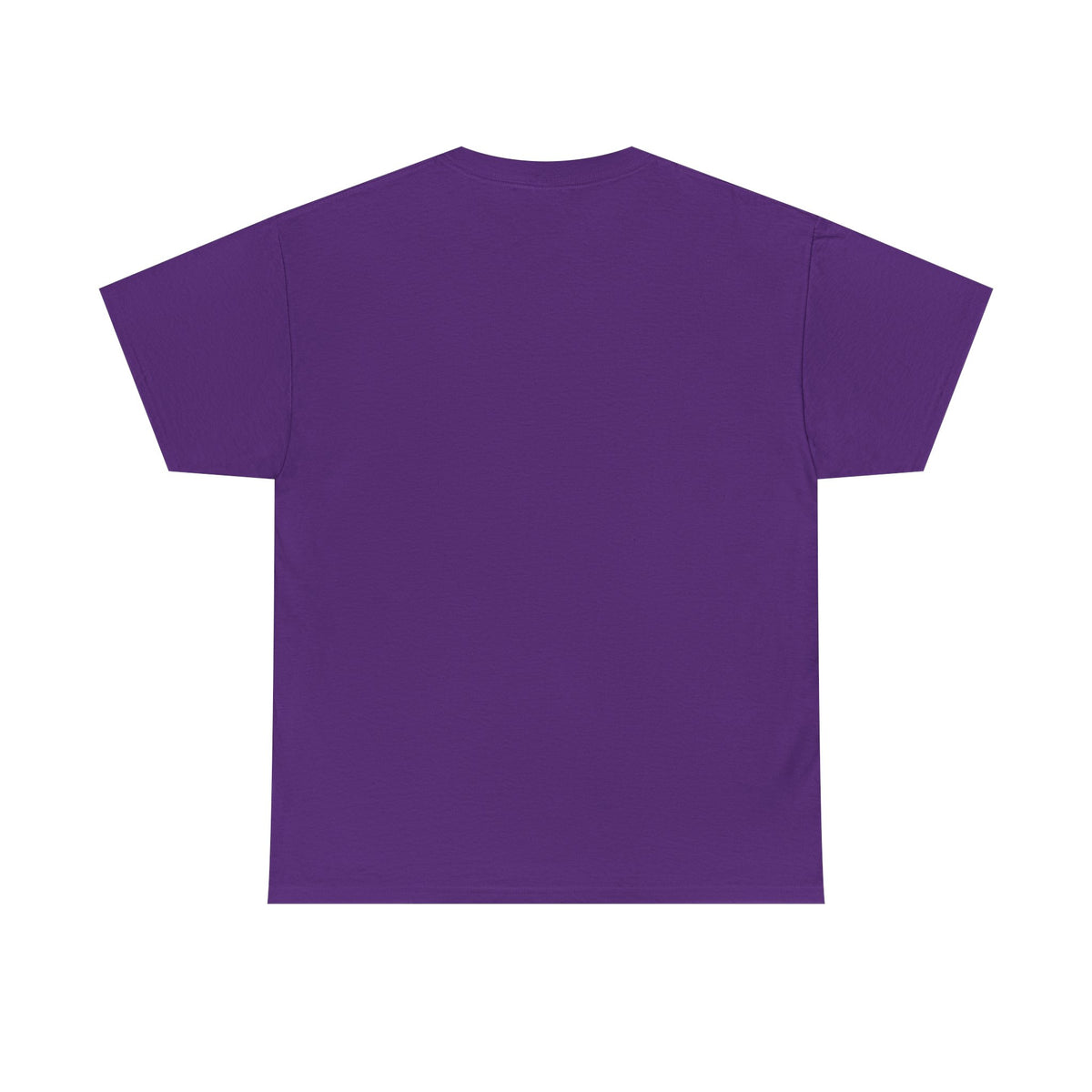 Diaper Pride T-Shirt - "This Flag Means Diaper Pride" Graphic Tee